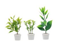 TOYANDONA 3 pz Piante in Miniatura: Piccoli Vasi Verdi per Casa delle Bambole - Decorazioni Succulente per Giardino Fatato