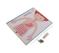 TOYANDONA 4 Set Digerente DIY Educativo Scienza per Esperimenti Scolastici e Materiale per Età Prescolare e Scuola Media