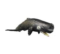 TOYANDONA Animale Plastica Realistico Balena Nera per Didattica per e Collezione Educativo Animali