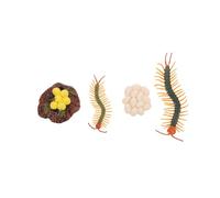 TOYANDONA Educativo Ciclo di dello Scolopendra Figurine Sicure e Resistenti per Gioco Interattivo Didattico per Apprendimento Naturale e Racconti