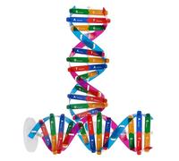 TOYANDONA Educativo Dna a Doppia 2 Pezzi, Supporto Didattico Scientifico Autoassemblante per Scuole Medie e Formazione Medica, Strumento di Apprendimento Biologico e Studenti