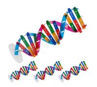 TOYANDONA Kit Educativo Didattico Dna Molecolare a Doppia Spirale 4 Pezzi per Studenti, Set Fai da Te per Biologia Genetica e Apprendimento Scientifico Scolastico