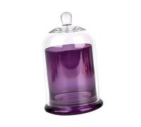 TOYANDONA Set Copritazza in Vetro Trasparente Coperchio per Aromi Tazza per Profumazioni e Decorazione per la Casa Diametro 10 CM Design Elegante per Ambienti Domestici