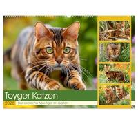 Toyger Katzen. Der exotische Mini-Tiger im Garten (Wandkalender 2026 DIN A2 quer), CALVENDO Monatskalender: Die anmutige Toyga-Katze in entspannter Gartenatmosphäre