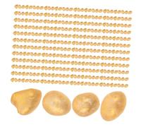 Toyvian 1 Scatola Riso Piccolo Feng Shui per Prosperità Decorazione Mini per Ciotola della Ricchezza Grani Resistenti per Buona Fortuna e Regalo Simbolico di Ricchezza