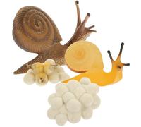 Toyvian 1set Giocattoli Snail Growing Modelli Di Ciclo Di Crescita Per Apprendimento Interattivo Dei Giocattoli Educativi Realistici Per Giochi Cognitivi e Divertimento
