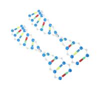 Toyvian 2 Kit Educativo Dna Doppia per Scuola Media e Università Struttura Molecolare per Esperimenti Scientifici e Apprendimento Genetico Interattivo