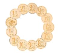 Toyvian 26pezzi Dischi Di Legno Per Momenti Speciali Del Accessori Per Indicatori Di Crescita Cartoon Unisex Per Fotografie Mensili e Ricordi Indimenticabili