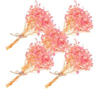 Toyvian 5 Pezzi Corsage Floreale Secca Mini per Sposa, Stile Chic per Nozze