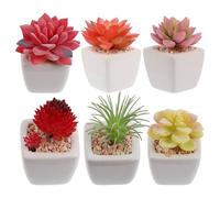 Toyvian 6 pezzi Piante Grasse Finte in Vaso Miniature Bonsai Finti Realistici per Decorazione Interni Ufficio Casa Piante Succulente Artificiali Resistenti e Naturali