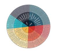 Toyvian Adesivo Grafico Ruota delle Emozioni per Laptop e Computer, Decorazione Murale per Aula e Cameretta, Adesivo Circolare per Educazione Emotiva e Sviluppo Ragazzo Ragazza