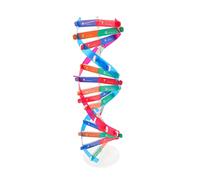 Toyvian Attrezzature Per Esperimenti Scientifici Modello Di Cellula Vegetale Modello a Doppia Modelli Di Cellule Vegetali Animali Manichino Strumento Addominali Bambino Assemblato