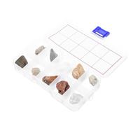 Toyvian Didattico Minerali e per Naturali e Variabili Kit Geologia per Scuola e Casa con Guida Identificativa e Custodia Espositiva