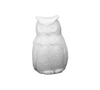 Toyvian Kit Di Creazione in Schiuma A Forma Di Gufo 15 Cm Giocattoli Semplici Disegna E Dipingi I Tuoi Gufi Per Ragazzi E Progetti Di Arredamento Per La Casa