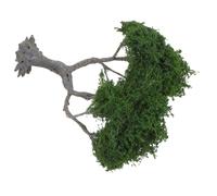 Toyvian Miniature Tree Model for Realistic Scenery Design Summer Tree for DIY Crafts And Architectural Models And Landscape Projects