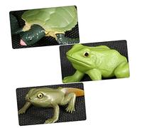 Toyvian Modelli Realistici Di Evoluzione Degli Animali Giocattolo Educativo Per Bambini Set 2 Pezzi Tartaruga e Anfibio Per Scuola Museo Asilo e Decorazione Fotografica