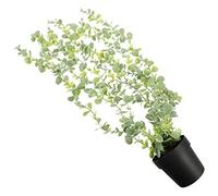 Toyvian Pianta Artificiale Sospesa in Piante Finte Da Per Decorazione Interna Ed Esterna Resistenti e Facili Da Curare