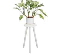 Toyvian Portavasi Base Resistente per Piante e Vasi Decorativi in Legno Bianco 3 Punti di Supporto Stabile, Portafiori per Interno e Ingresso