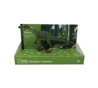 Toyway 29103 Museum d'histoires naturelles Baryonyx 22cm 1:40