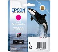 TP CARTUCCIA ORIGINALE EPSON T7603 C13T76034010 MAGENTA Inchiostri Orca