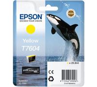 Epson giallo t7604
