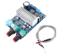 TPA3116D2 Scheda amplificatore subwoofer DC 12-24V mono Amplificatore audio digitale Scheda amplificatore di potenza for altoparlanti for auto audio domestici FAI DA TE