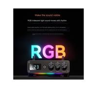 TPA3255 Amplificatore Subwoofer Audio Bluetooth5.3 300W+300W HiFi Digital Power Home Amplificatore 2400-2483.5MHZ