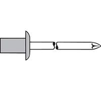 TPF modulistica 0007693320411 - Confezione di 500 Rivetti ciechi in alluminio, inox, 4.0 X 11.0 mm