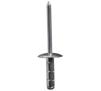 TPF modulistica 0007693574817 - Mini-Pack polygrip, Alluminio, Acciaio, 4.8 x 17 mm), 25 pz