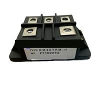 TPKMVGAP RM30TA-M RM30TA-H RM30TB-M RM30TB-H RM30TPM-M RM30TPM-H RM30TC-M RM30TC-H RM30TC-24 RM30TC-2H Modulo Ponte raddrizzatore(RM30TC-H)
