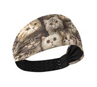 tplaotee Multi Carino Scottish Fold Cats Brown Raffreddamento estate fasce per le donne Elastiche larghe fasce per capelli da donna per palestra allenamenti basket escursionismo