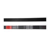 TPLEJCFN Cinghia for Lavatrice, Compatibile con Beko, 5EPJ1244 2816750200(1pc)