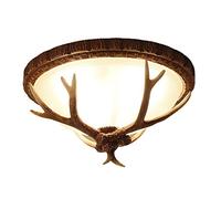 TPMAFF Plafoniera retrò con Corna Lampada da soffitto Rotonda in Resina da 16,5 Pollici, Lampade da soffitto per Soggiorno, Camera da Letto Portico Corridoio Corridoio Lampade