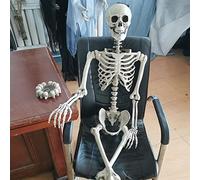 TPOne Scheletro di Halloween, realistico scheletro umano a corpo intero, decorazione di Halloween, ossa di scheletro con articolazioni mobili, decorazione spettrale per cimitero per feste di Halloween