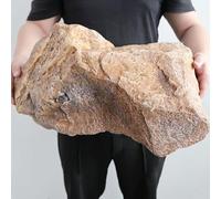 Tqertrtfxa Rocce Artificiali per mascheramento impianti/Custodie Tecniche，da Esterno Coperture Effetto Roccia，per Esterni - Elementi Decorativi per Cortili e Giardini(Yellow,I)