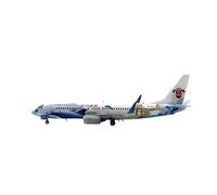 TQMEAD Modello di Aeroplano Metallo Decorazioni per Simulazione di Modelli di Aeromobili in Lega B737-800 B-1781 della China Southern in Scala 1:400 Kit di Modellismo