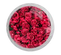 Tqmspg Fiori di rosa rossa