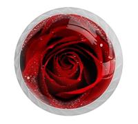 Tqmspg Fiori di rosa rossa