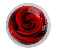 Tqmspg Fiori di rosa rossa