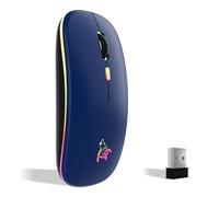 TQQ Mouse wireless ricaricabile, mouse retroilluminato a 7 colori con mini ricevitore USB da 2,4 GHz, mouse gaming, compatibile con laptop, PC, computer, Chromebook, Notebook e iPad Etc