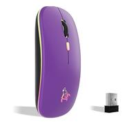 TQQ Mouse wireless ricaricabile, mouse retroilluminato a 7 colori con mini ricevitore USB da 2,4 GHz, mouse gaming, compatibile con laptop, PC, computer, Chromebook, Notebook e iPad Etc