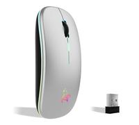 TQQ Mouse wireless ricaricabile, mouse retroilluminato a 7 colori con mini ricevitore USB da 2,4 GHz, mouse gaming, compatibile con laptop, PC, computer, Chromebook, Notebook e iPad Etc