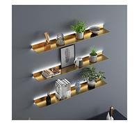 TQVLNMCR Mensola da parete galleggiante in metallo illuminata a LED for piante e libri, moderno espositore illuminato con ripiano singolo incluso(Y,100x15cm)