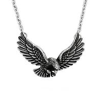 TQWSVUM Collana Aquila for Uomo, Nordic Viking Flying Eagle Ciondolo in Acciaio Inossidabile Amuleto Collana, Hip Hop Punk Gothic Maglione Clavicle Chain Animal Biker Gioielli