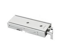 TR 2 cilindri a doppio asse TR6/10/16/20/25/32 piccole corsa pneumatica 10-300(TR20X150S)
