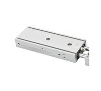 TR 2 cilindri a doppio asse TR6/10/16/20/25/32 piccole corsa pneumatica 10-300(TR20X60S)