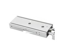 TR 2 cilindri a doppio asse TR6/10/16/20/25/32 piccole corsa pneumatica 10-300(TR20X75S)