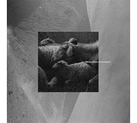 Tr - Manifesto Rumoratorio