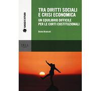 Tra diritti sociali e crisi economica. Un equilibrio difficile per le corti costituzionali