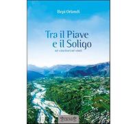 Tra il Piave e il Soligo. Né vincitori né vinti